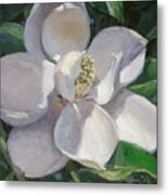 Magnolia Metal Print