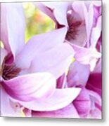 Magnolia Time Metal Print