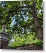 Magnolia Tree And Charleston Brick Metal Print