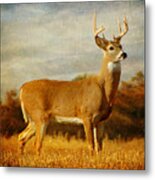 Majestic Pose Metal Print