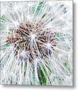 Make A Wish Metal Print