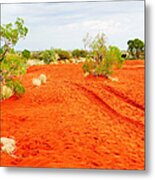 Making Tracks In The Dunes - Red Centre Australia Metal Print