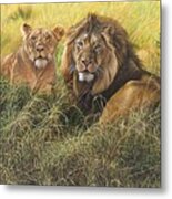 Male And Female Lion Metal Print