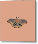 Male Moth Orange And Brown .png Metal Print