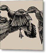 Mallard Ducks In Flight Bw Metal Print