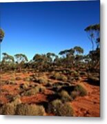 Mallee And Spinifex Metal Print