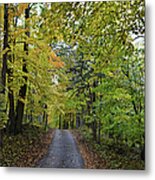 Maple Drive Panorama Metal Print