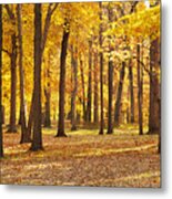 Maple Glory Metal Print