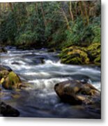March Along The River Metal Print