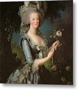 Marie Antoinette Metal Print