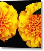 Marigolds With Oil Painting Effect Metal Print