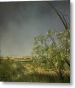 Marsh Pathway Metal Print