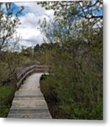 Marsh Walk Metal Print