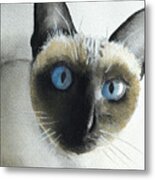 Mary Cat Metal Print