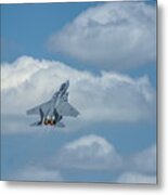 Mcdonnell Douglas F-15 Eagle Metal Print