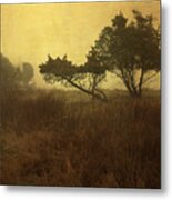 Meadow And Trees Metal Print