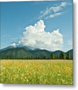 Meadow Of Sunflowers And The San Francisco Peaks Metal Print