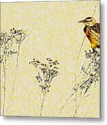 Meadowlark In Kansas Prairie 1 Metal Print