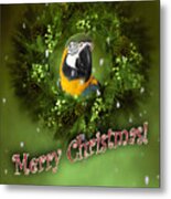 Merry Christmas With Parrot Metal Print