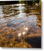 Middle Of The River Metal Print