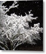 Midnight Snow 2 Metal Print