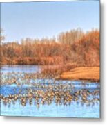 Migration Break On Ice Metal Print