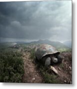 Migration Metal Print