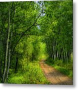 Miles Of Green Metal Print