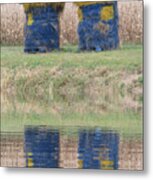 Minions In A Reflection Pool Metal Print
