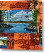 Mink Lake Looking North West Metal Print