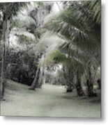 Misty Hawaiian Garden Metal Print