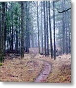 Misty Morning Trail In The Woods Metal Print