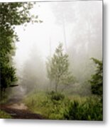 Misty Road At Forest Edge, Pocono Mountains, Pennsylvania Metal Print