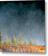 Misty Sunrise At Costello Creek Metal Print