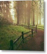 Misty Trail Metal Print