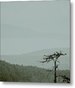 Misty View Metal Print