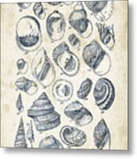 Mollusks - 1842 - 15 Metal Print