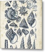 Mollusks - 1842 - 16 Metal Print