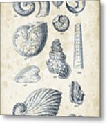 Mollusks - 1842 - 23 Metal Print