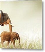 Mom And Baby Elephant Walking Through Tall Grass Metal Print