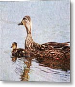 Mom And Little One Metal Print