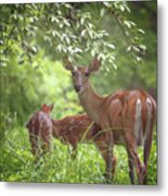 Mom With Twins Metal Print