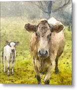 Momma And Baby Cow Pencil Metal Print