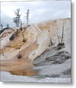 Mommuth.yellowstone National Park Metal Print