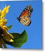 Monarch And Blue Sky Metal Print