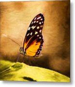 Monarch Butterfly Metal Print