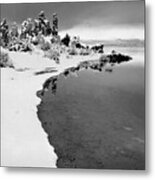 Mono Lake Shoreline, Snow Metal Print