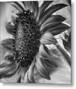 Monochrome Sunflower Metal Print