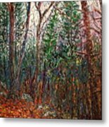 Montville Wood Metal Print