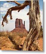 Monument Valley Desert Tree Metal Print